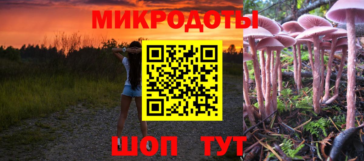 Михайловка  Галлюциногенные грибы мухоморы  Вход с VPN 