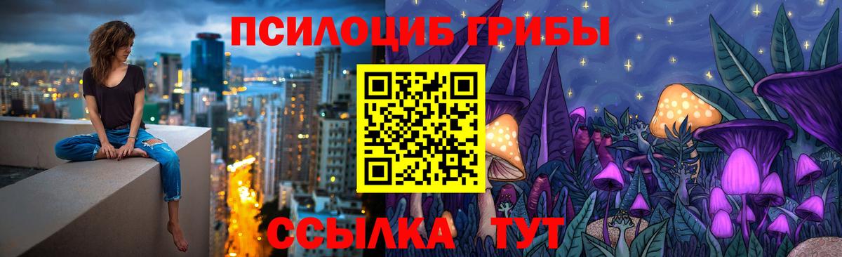 Псилоцибиновые грибы MAGIC MUSHROOMS Михайловка